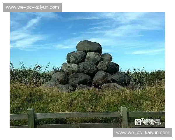 惠灵顿风云:巨龙与海鸥的史诗对决,谁将主宰新西兰的荣耀? 惠灵顿风云:巨龙与海鸥的史诗对决,谁将主宰新西兰的荣耀?